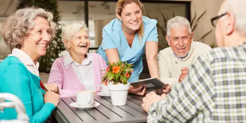 untitled (500 x 250 px) (1)